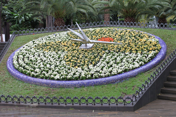 Picture af Tenerifes blomsterur i byparken